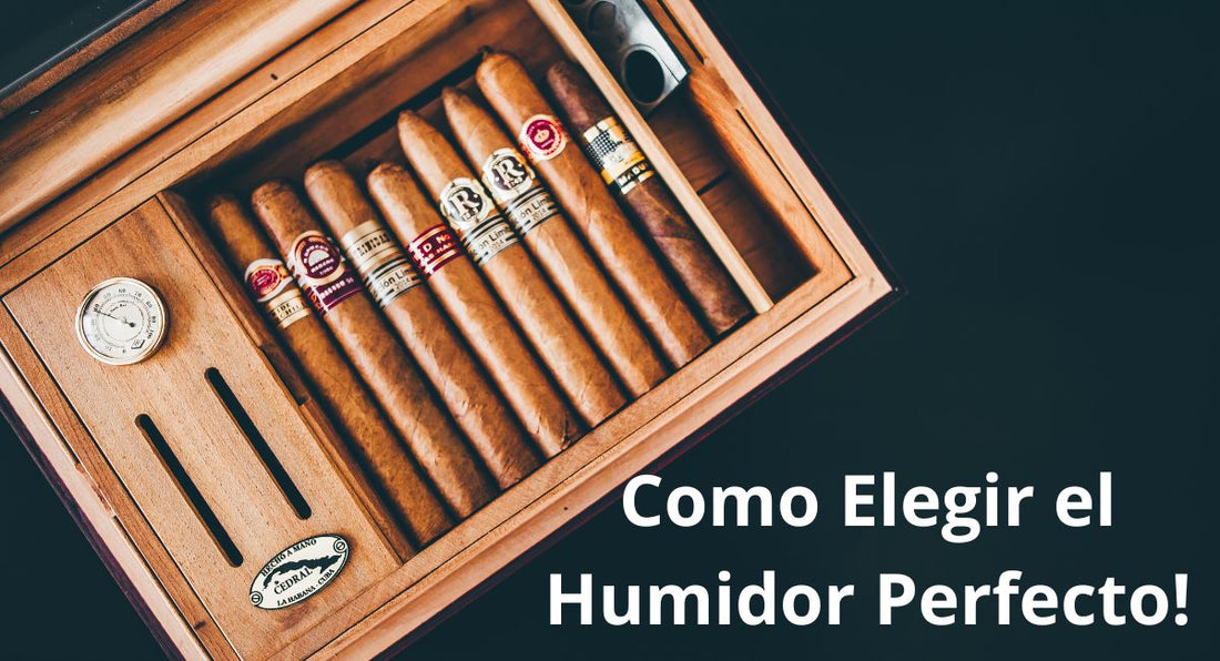 Cómo Elegir el Humidor Perfecto