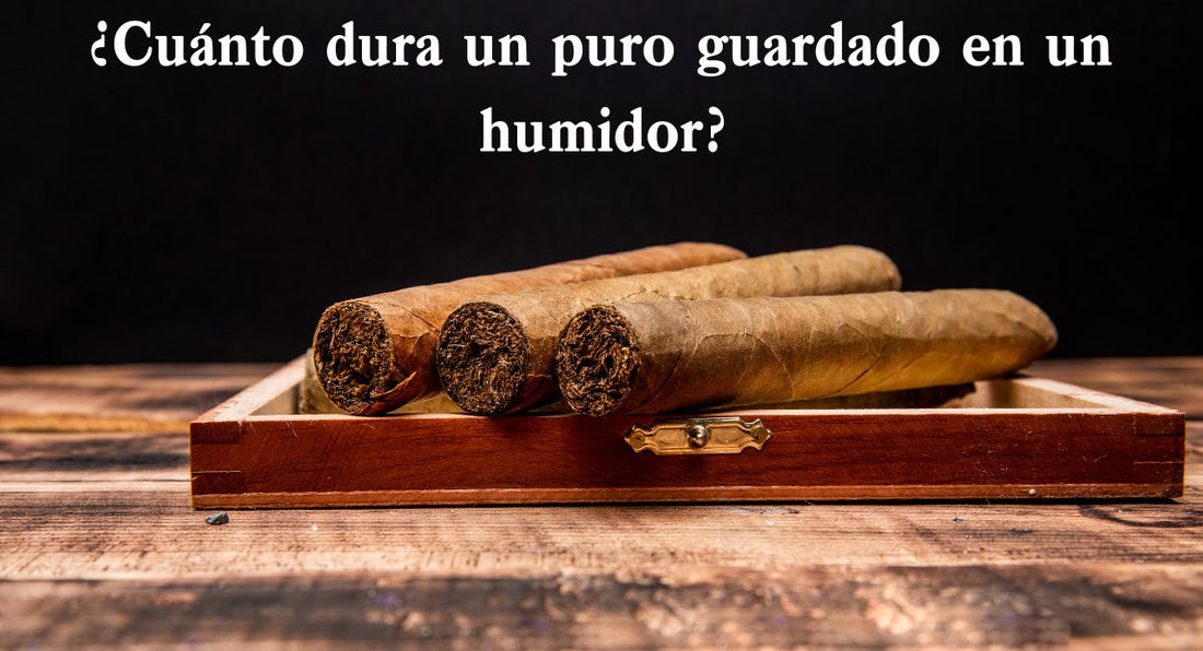 ¿Cuánto dura un puro guardado en un humidor?