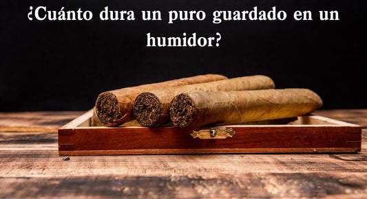 ¿Cuánto dura un puro guardado en un humidor?